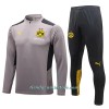 Sudadera De Entrenamiento Trajes BVB Borussia Dortmund Cremallera De Cuarto 2022-23 Gris Claro - Hombre